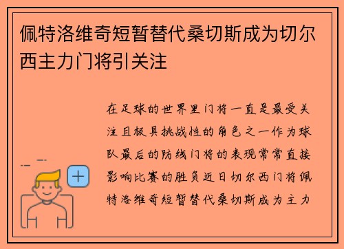 佩特洛维奇短暂替代桑切斯成为切尔西主力门将引关注 佩特洛维奇短暂替代桑切斯成为切尔西主力门将引关注